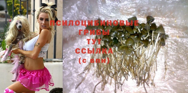молекула духа Алексин