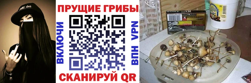 Галлюциногенные грибы MAGIC MUSHROOMS  Орехово-Зуево 